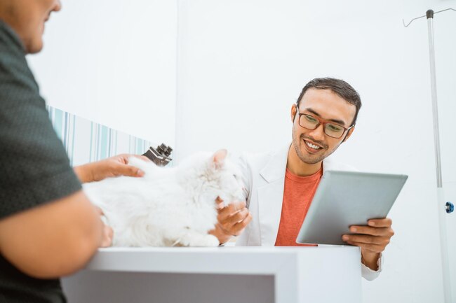 Veterinario realizando una consulta a un gato en un entorno profesional